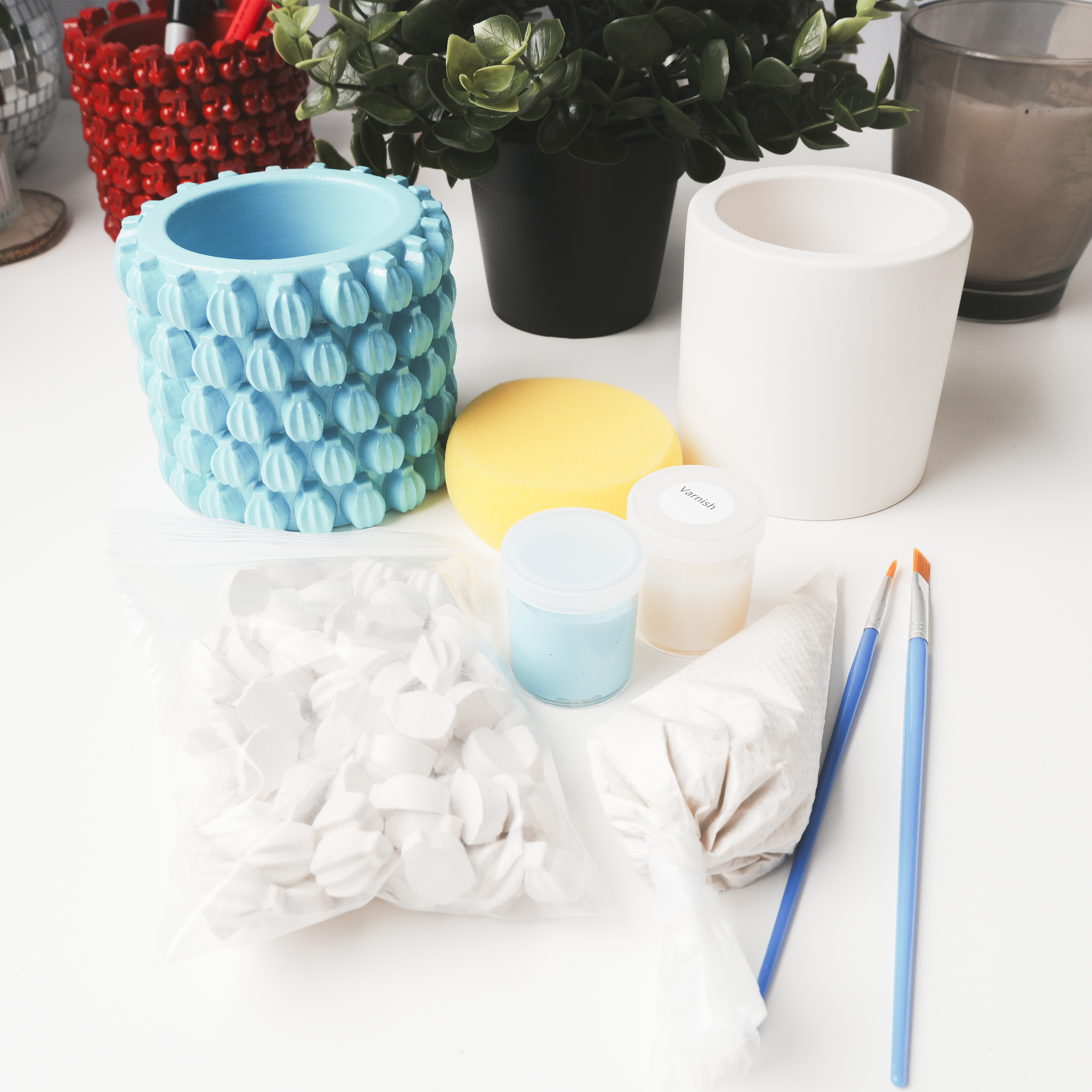 Fruity Pot DIY Kit, Customizable Kit